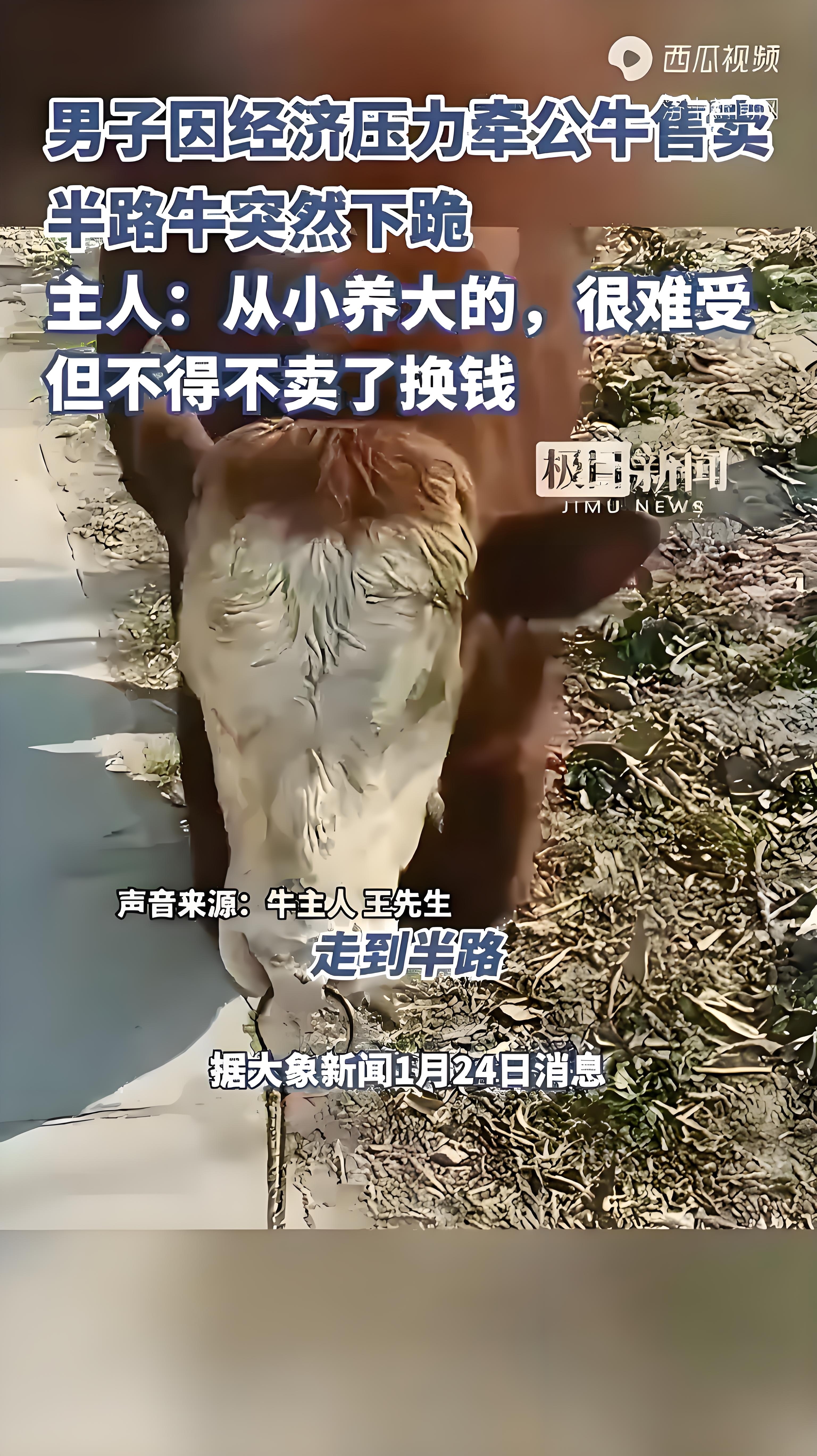 188体育官网 :公牛，状态爆棚，引发争议！